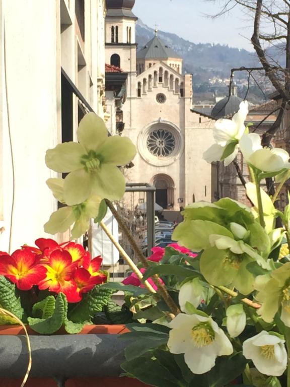 特伦托B&B Homer Trento的建筑前的一大束鲜花