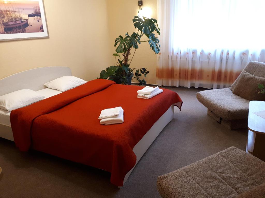 拉脱维亚明霍泽娜武达酒店的配有一张床和一把椅子的酒店客房