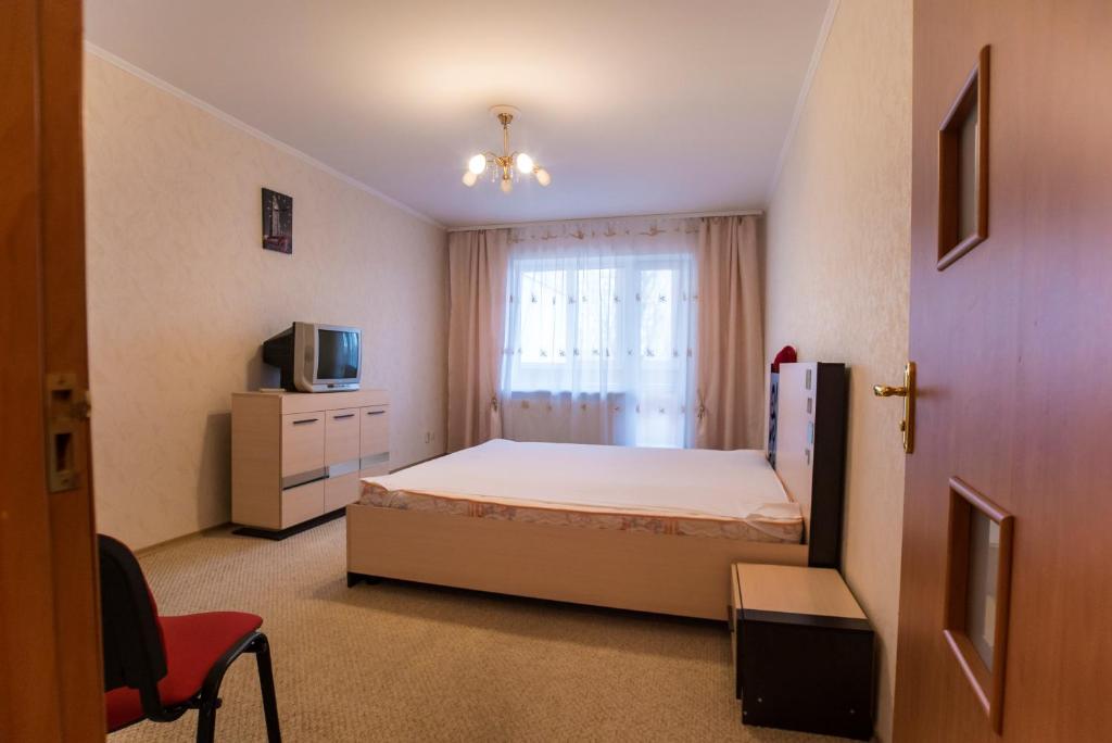 卡缅斯科耶Квартира的一间卧室设有一张床、一台电视和一个窗口。