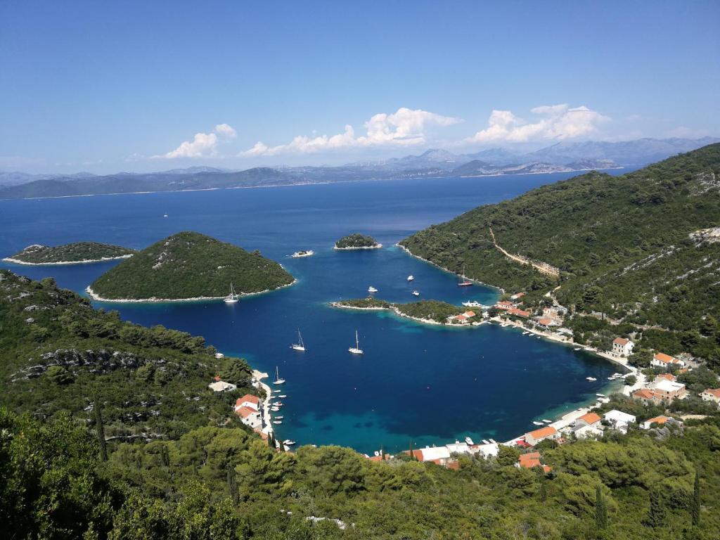 马拉诺维奇Sea Song的海湾的空中景色,在水中划船