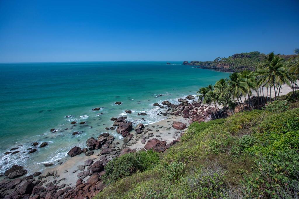 卡纳科纳Cabo Serai的享有棕榈树海滩和大海的空中景致