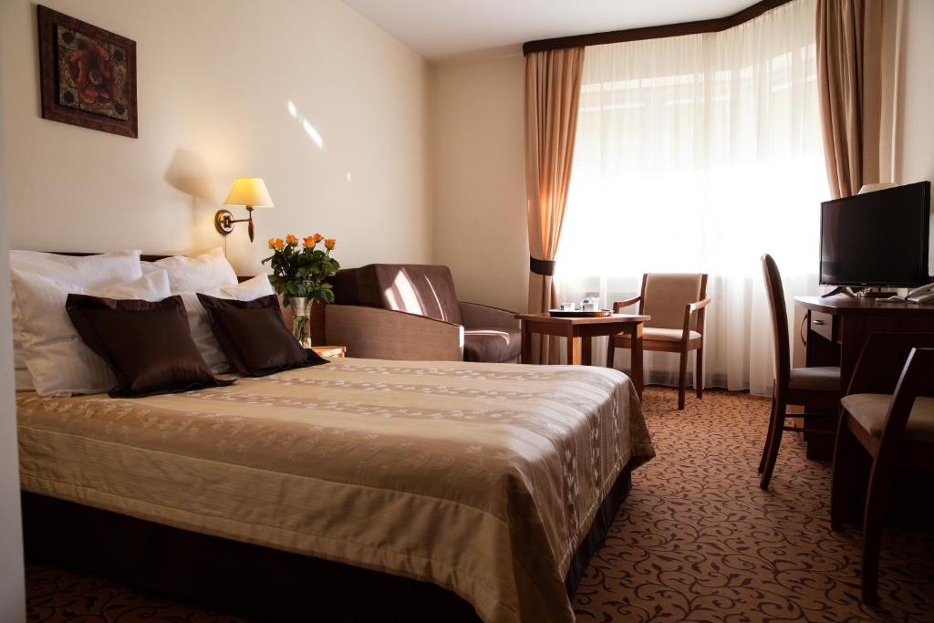 奥斯特罗维茨全景酒店的配有一张床和一张书桌的酒店客房