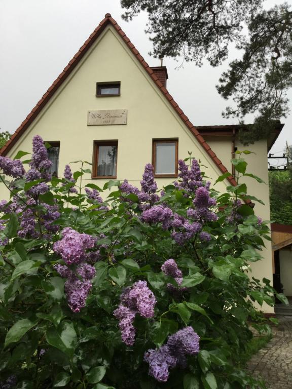 MilanówekWilla Danusia的前面有紫色花的房屋