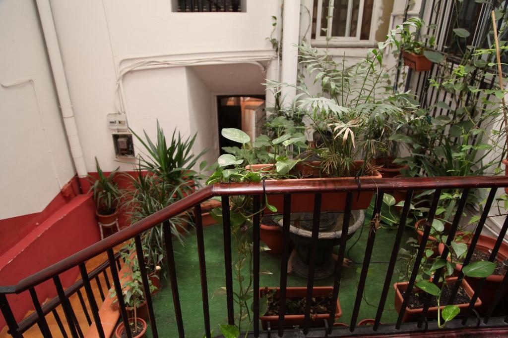 巴塞罗那拉西欧旅馆的种植了大量植物的阳台