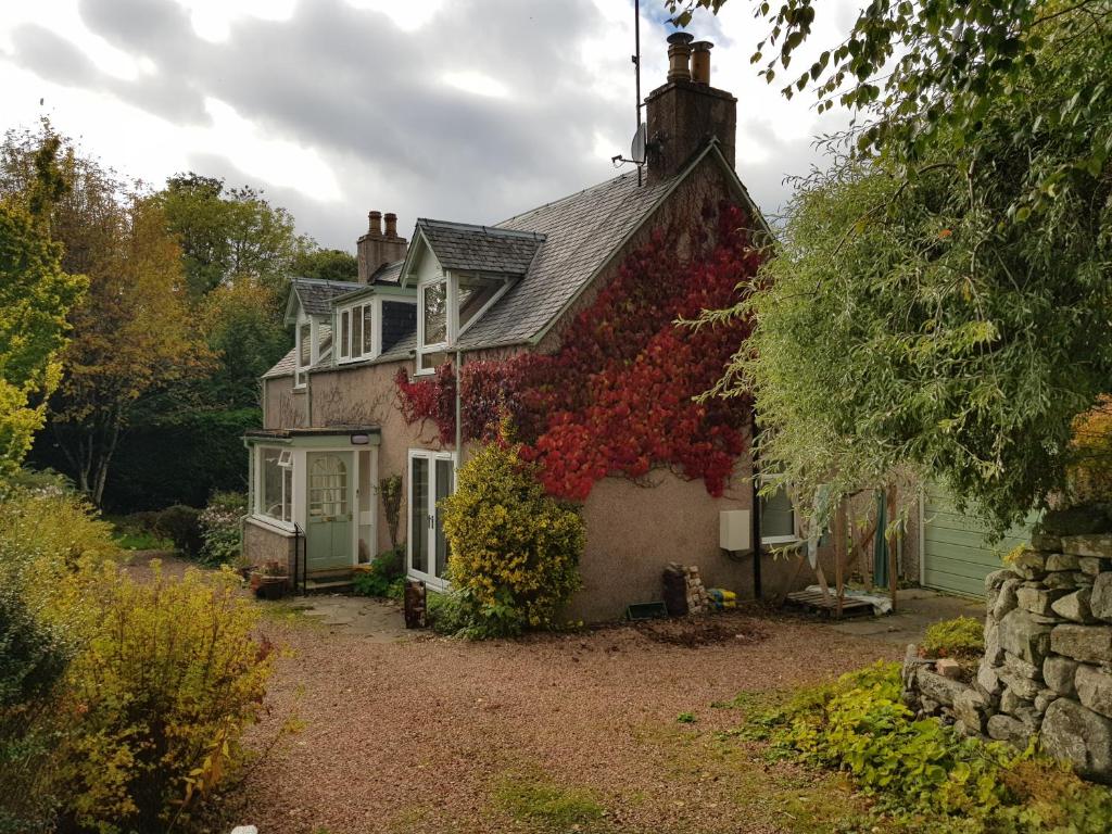 柯克麦科尔Smithy Cottage的常春藤覆盖的房子