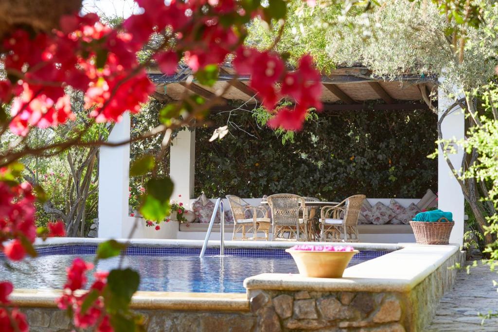拉斯卡韦萨斯-德圣胡安圣拉菲尔庄园酒店的一个带椅子的庭院和一个种有红色鲜花的游泳池