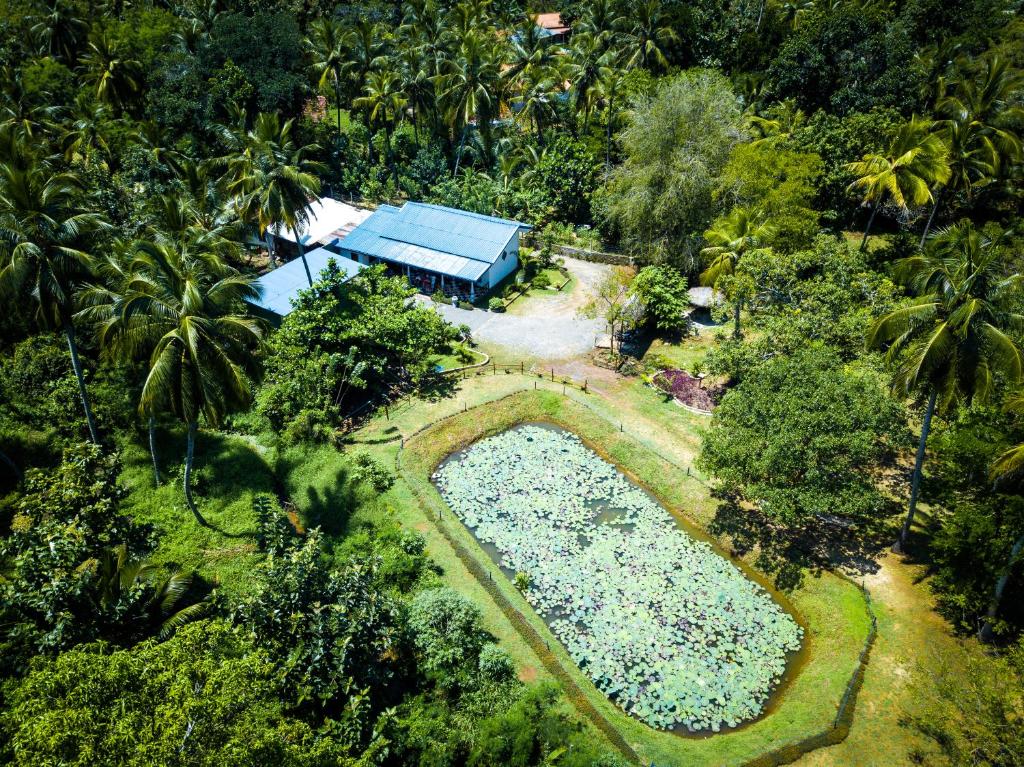 达瓦拉维Avian Garden Udawalawe的享有花园的顶部景致,设有游泳池