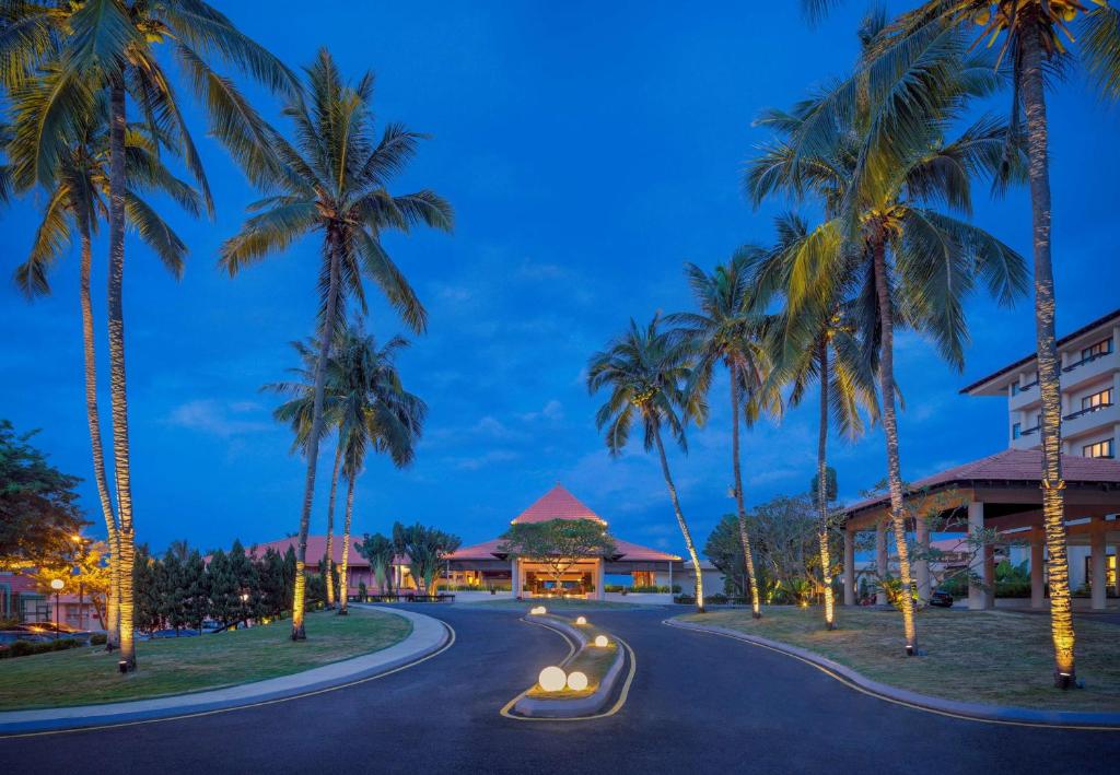 关丹关丹凯悦酒店的一条 ⁇ 的路上,晚上两旁有棕榈树