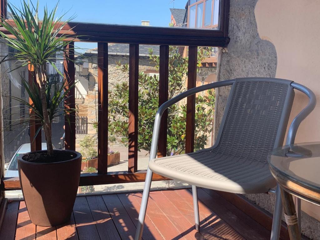 莫利纳塞卡Hostal Casa San Nicolas的阳台上的椅子和植物