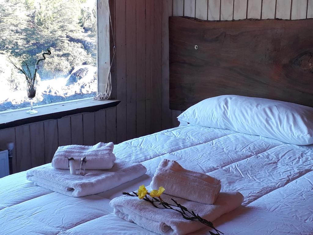 梅利佩乌科Hotel Patagonia Truful y lodge Patagonia truful的一间卧室配有带毛巾的床和窗户。