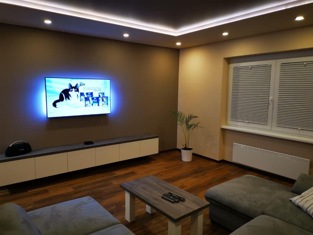 波斯托伊纳Bonito apartment的客厅配有沙发和墙上的电视