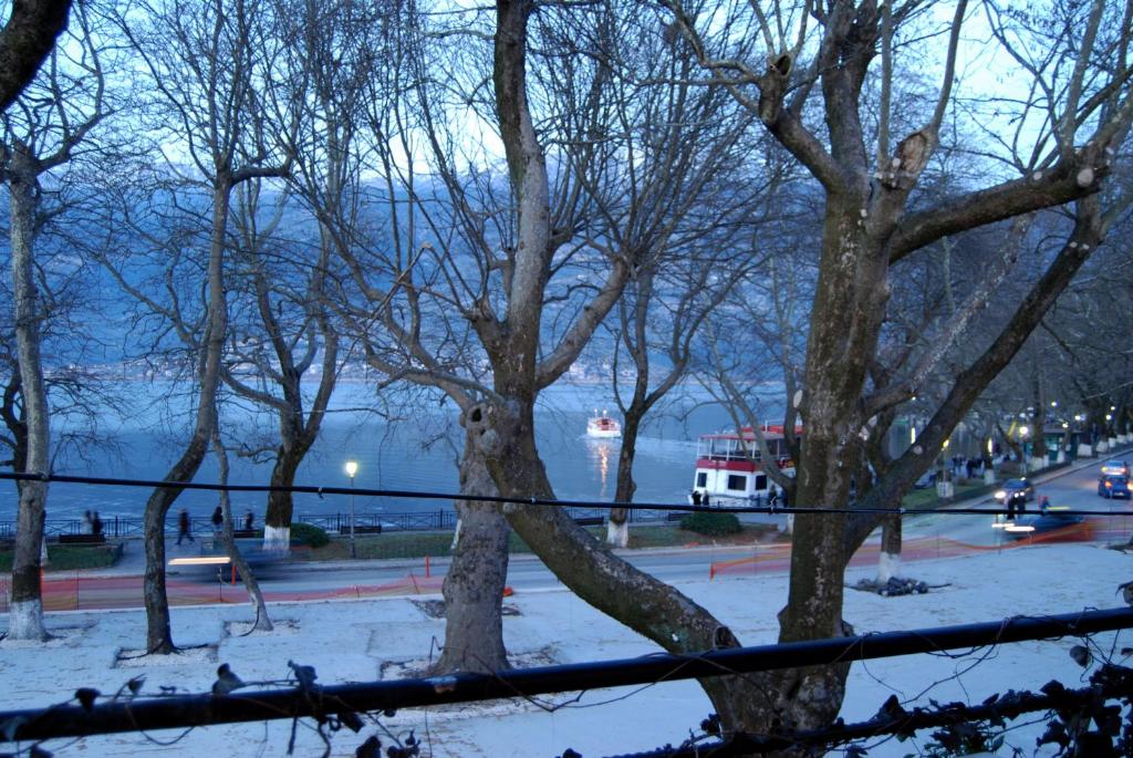 约阿尼纳Lake view apartment的一群雪在地上的树