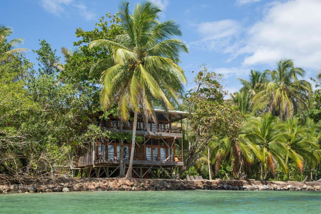 博卡斯德尔托罗Residencia Natural的棕榈树热带岛屿上的度假村