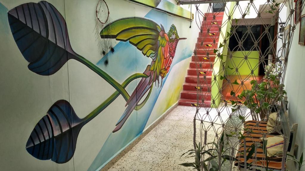 卡哈马卡Ruta Alterna Backpacker的墙上挂着鸟壁画的走廊