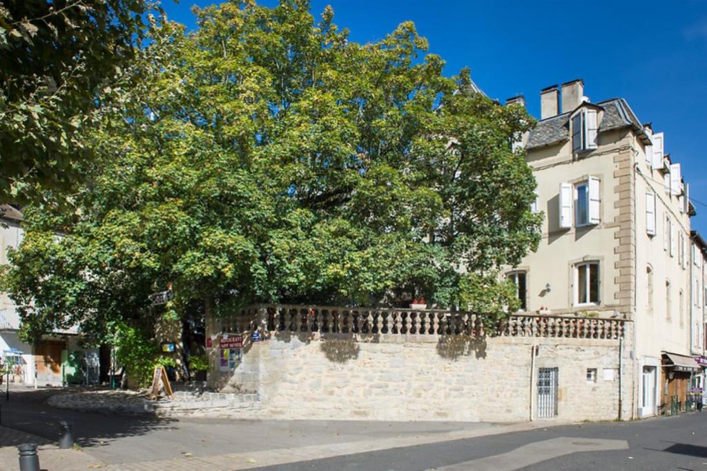 梅吕埃圣救世主酒店的一座建筑物旁石墙顶上的一棵树