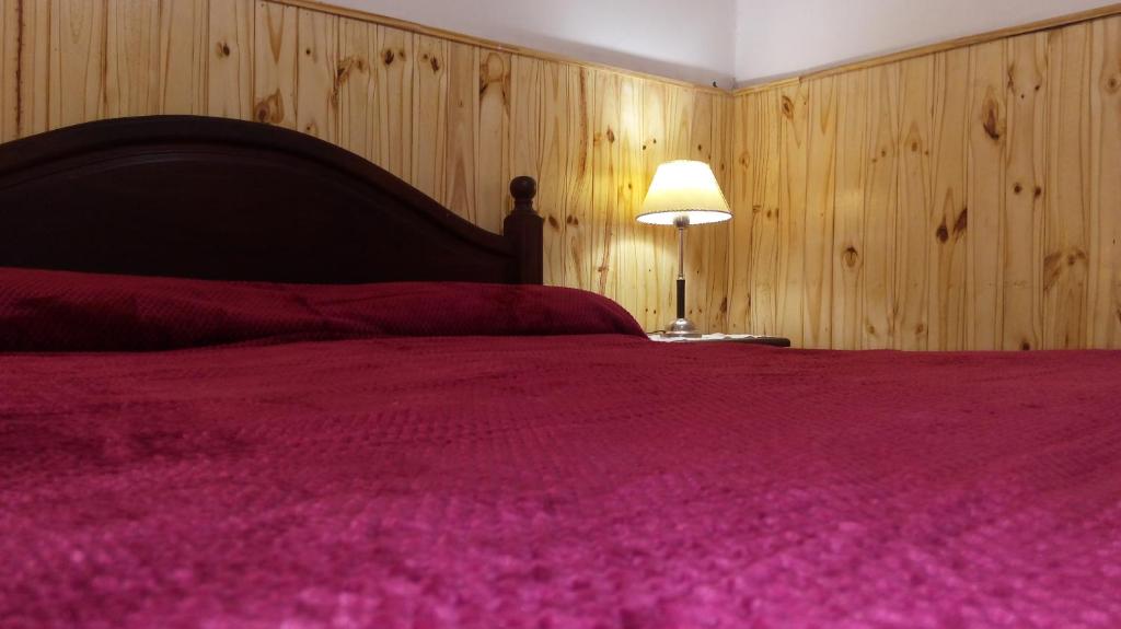 布兰卡港Hospedaje La Serranita的一间卧室配有一张带红色毯子和灯的床