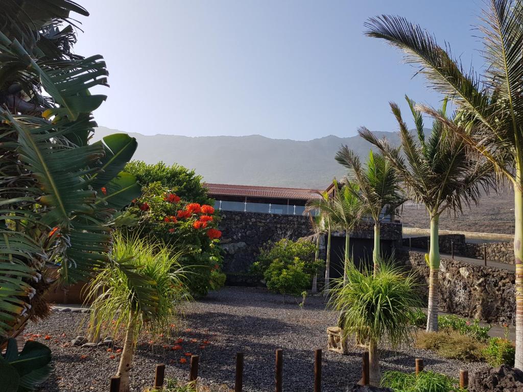 弗龙特拉Villa Tejeguate的棕榈树建筑前的花园
