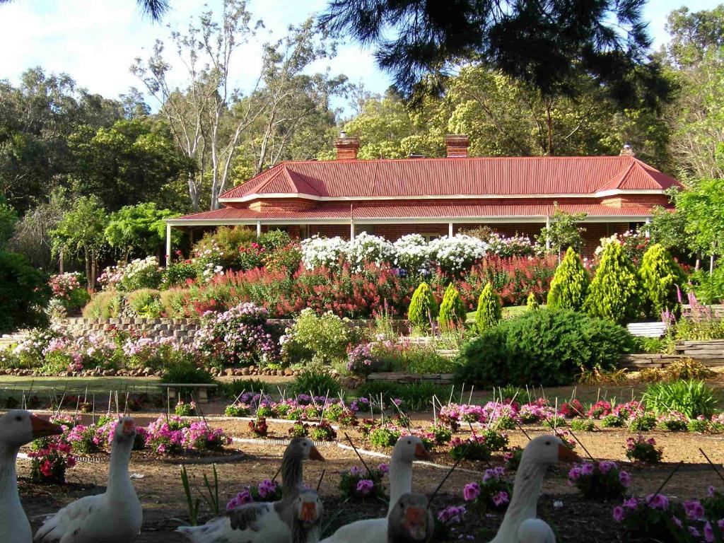 布里奇顿Ford House Bed & Breakfast的一座花园,在一座建筑前有鸭子