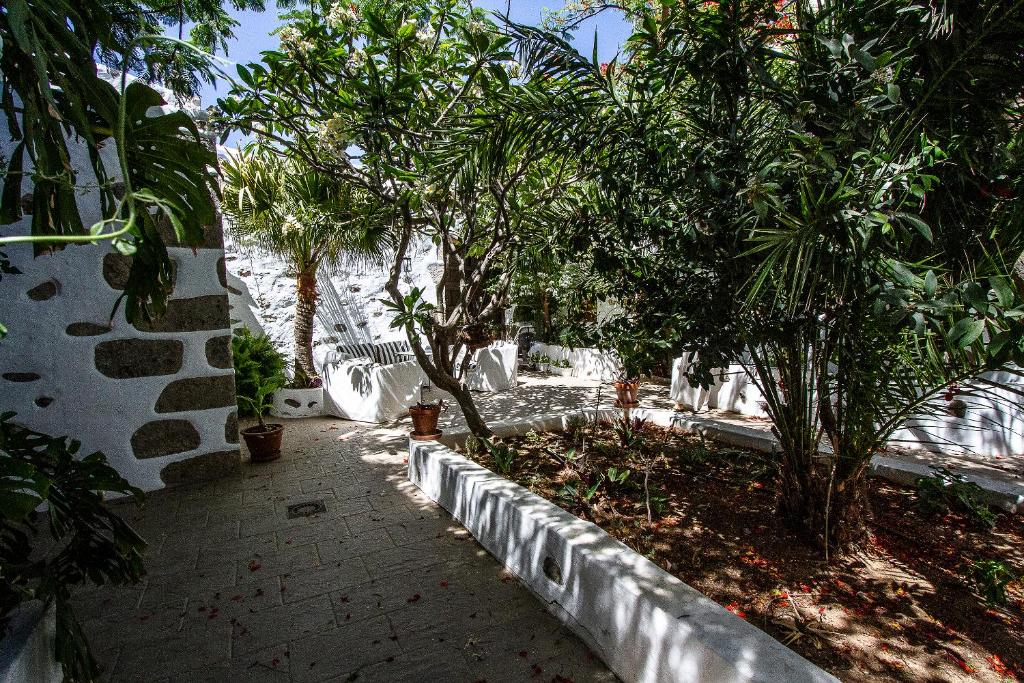 阿古伊梅斯Casa Patio Canario SXVII的一座种有树木和石墙的花园