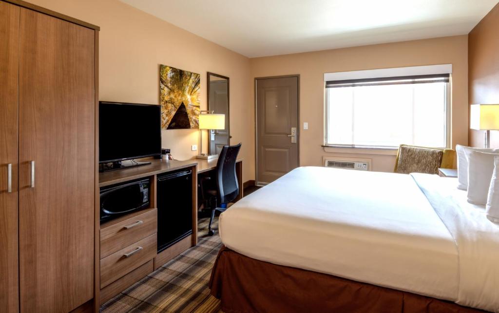博尔德博尔德大学汽车旅馆的配有一张床和一台平面电视的酒店客房