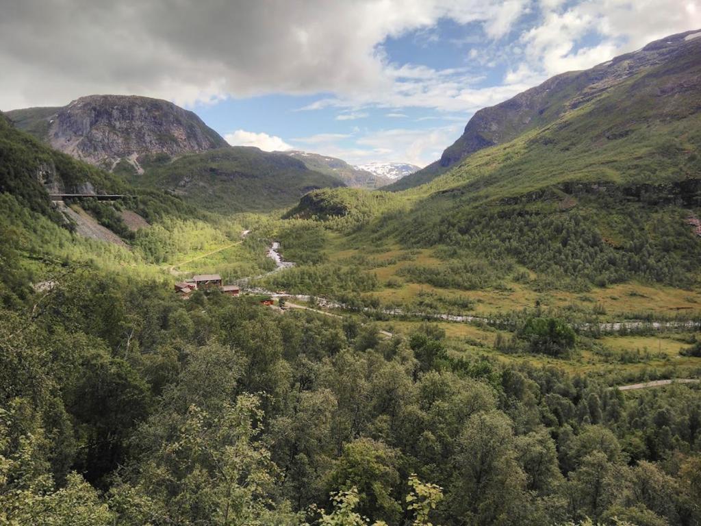 MjølfjellVoss Mountain Lodge的穿越山区山谷的火车