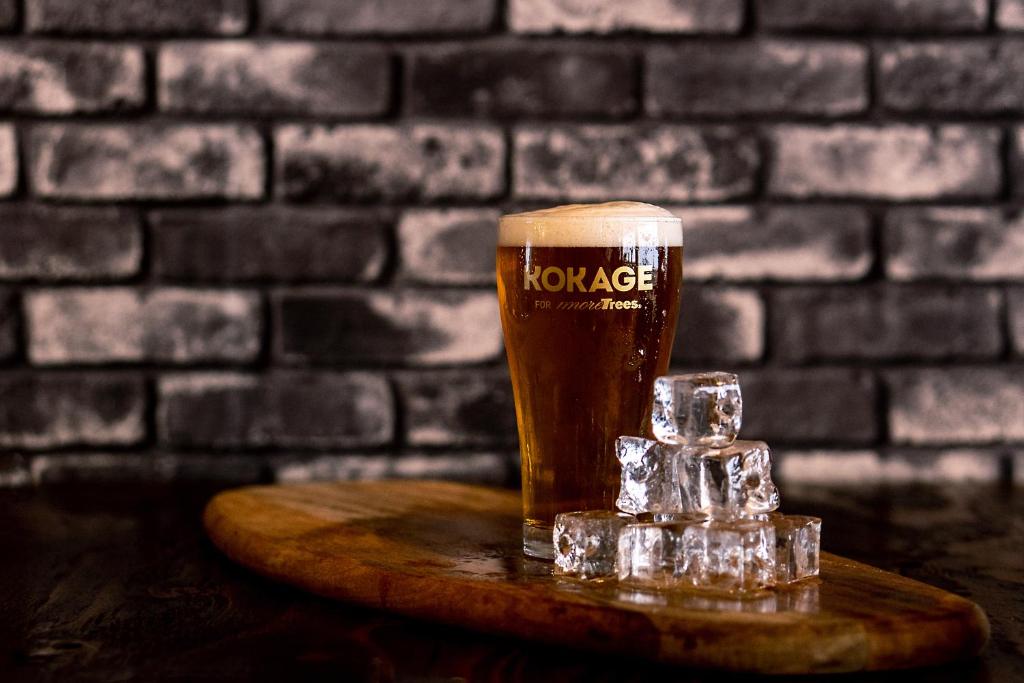 the alps view (酒店),小谷村(日本)优惠