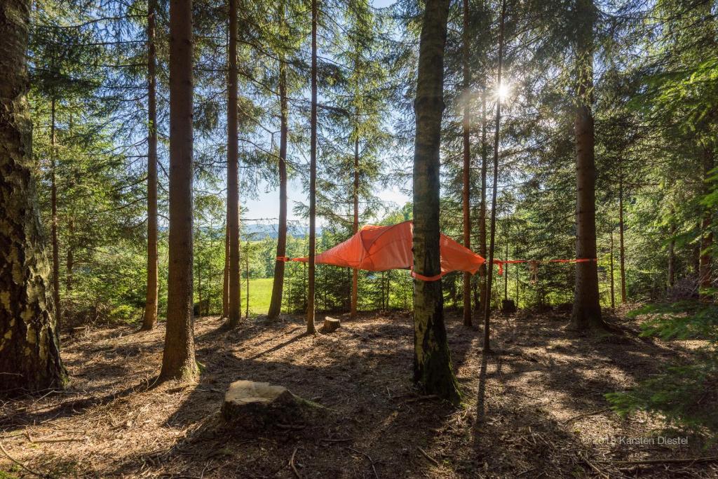 雷根Baumzelt am Waldesrand的森林中间的红色帐篷