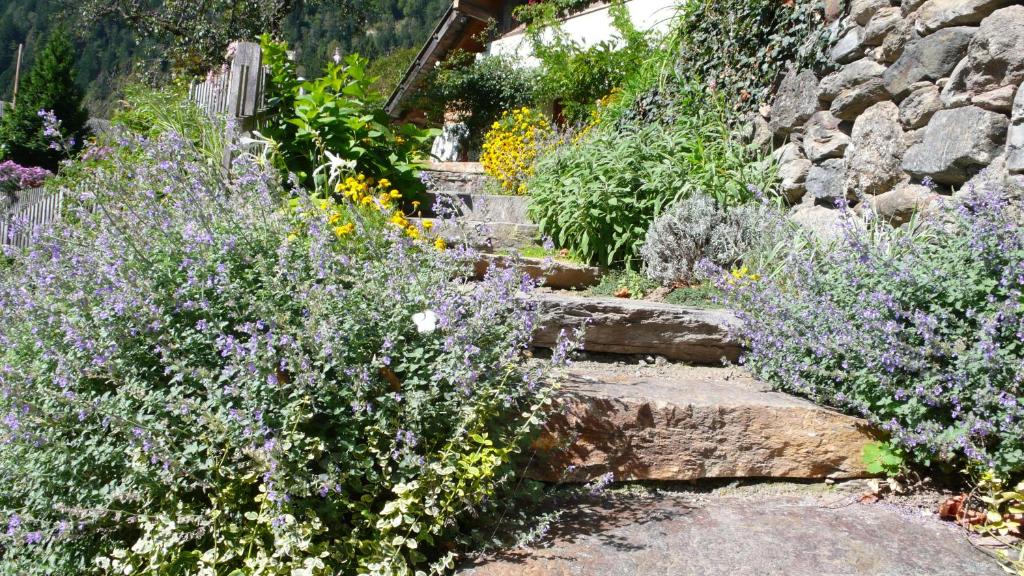 圣马蒂诺Obergereuth Hof的一座种有紫色花卉和石墙的花园
