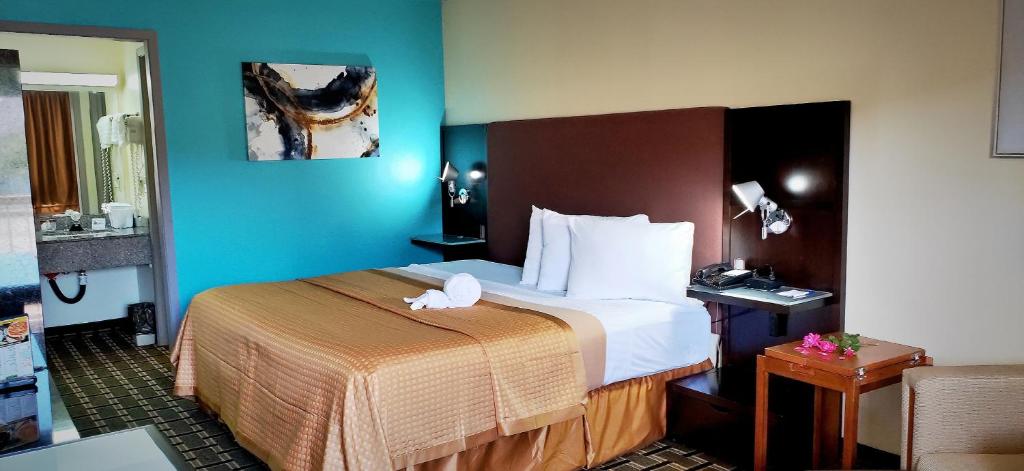 拉斐特Discovery Inn Lafayette的一间酒店客房,客房内配有一张床