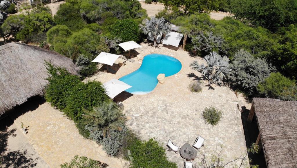 图利亚拉阿尔贝齐德拉塔布勒酒店的后院游泳池的顶部景色