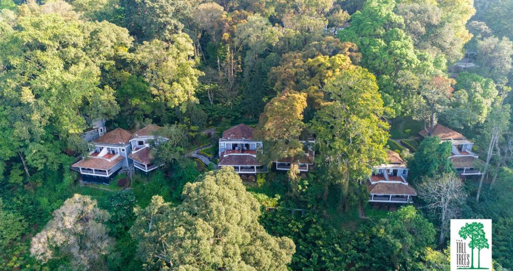 蒙纳乔木酒店的森林中房屋的空中景观