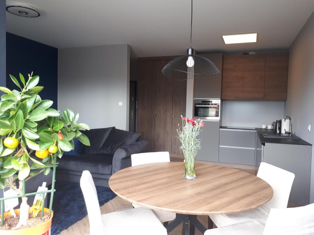 绿山城Apartament Stara Gazownia的厨房以及带木桌的用餐室。