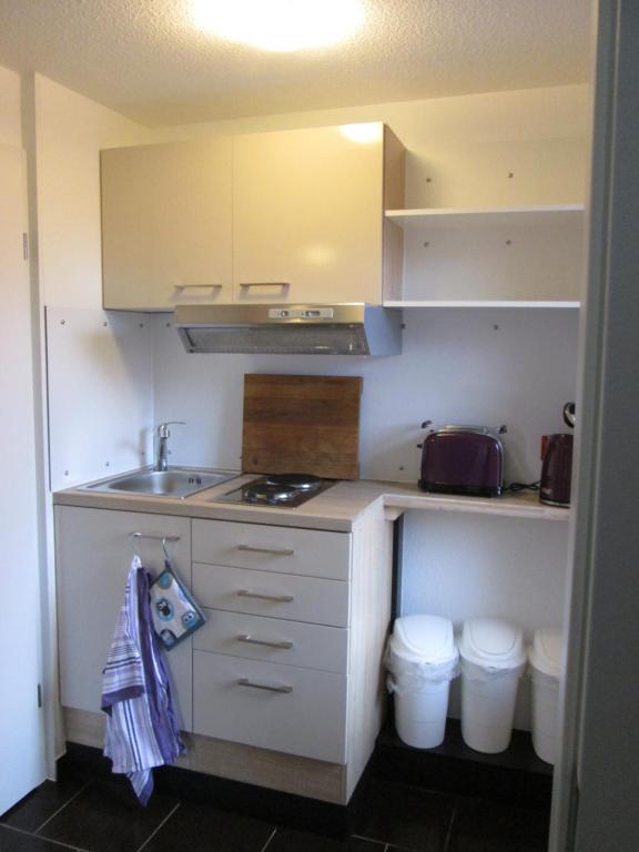 诺登Haus Dreimaster Single-Wohnung ohne Wohnzimmer的一间带水槽和炉灶的小厨房