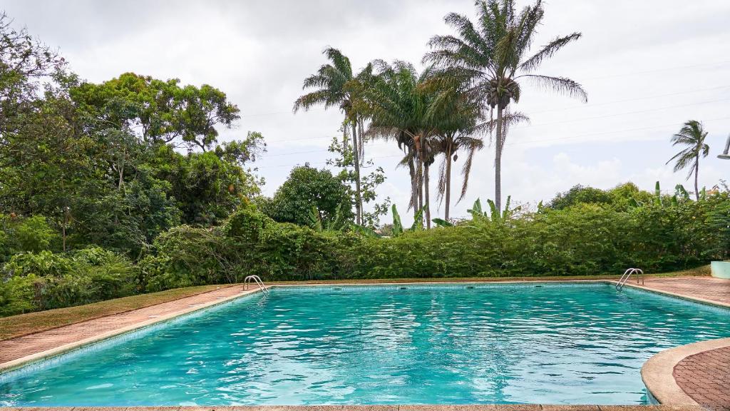 卡宴Appartements Cayenne Standing的一座棕榈树环绕的游泳池
