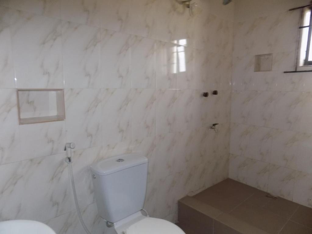 伊凯贾Posh Apartments Business Hotel的白色的浴室设有卫生间和淋浴。