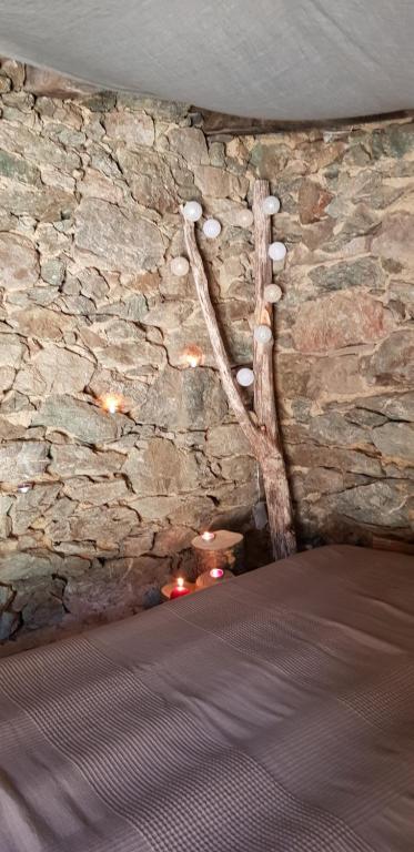 Santa-Lucia-di-MercurioU paliaghju, une cabane de berger pour vivre un dépaysement total的一间石墙客房,上面有树枝