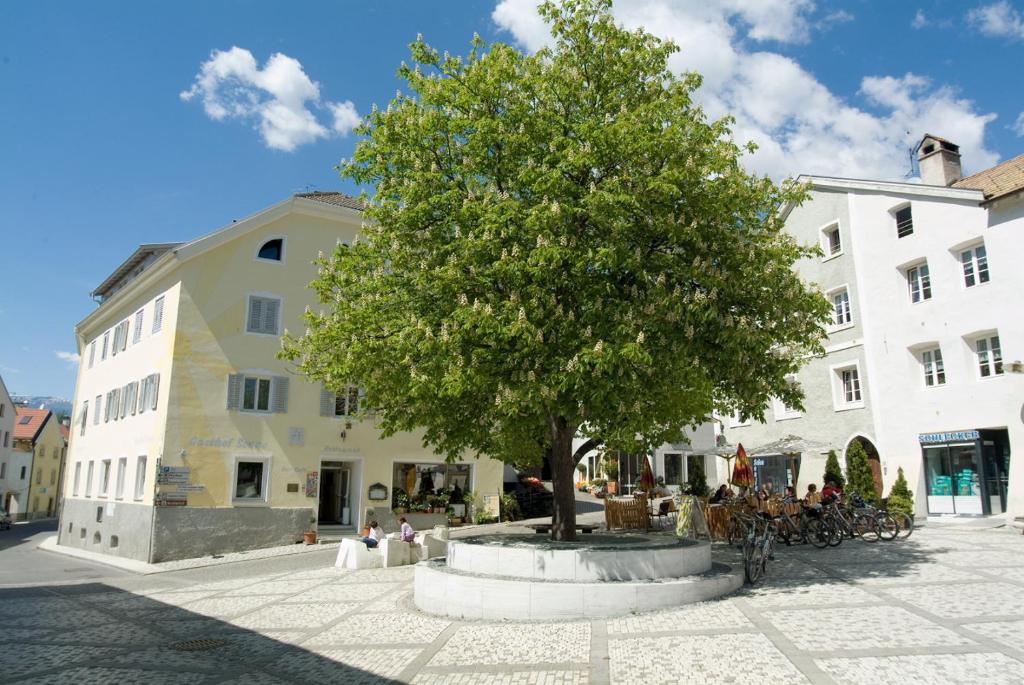 拉萨Gasthof zur Sonne的建筑物旁边的方块中的一棵树