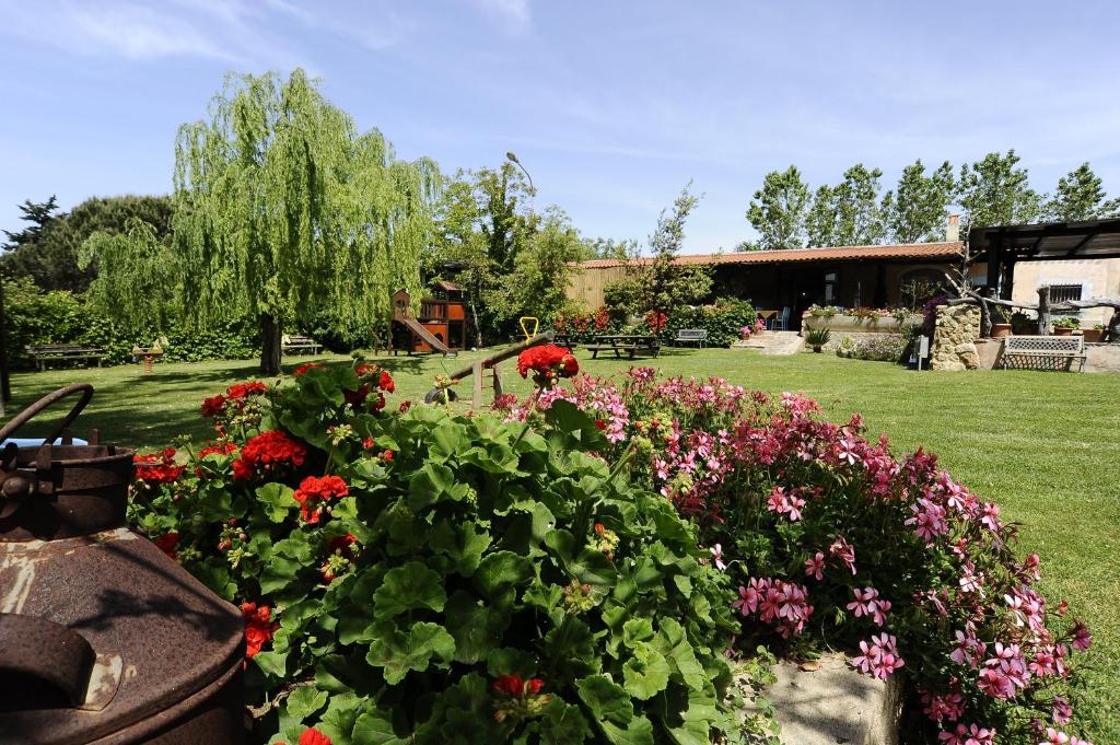 阿尔盖罗巴尔巴贾农舍招待所的院子里种着五颜六色花的花园