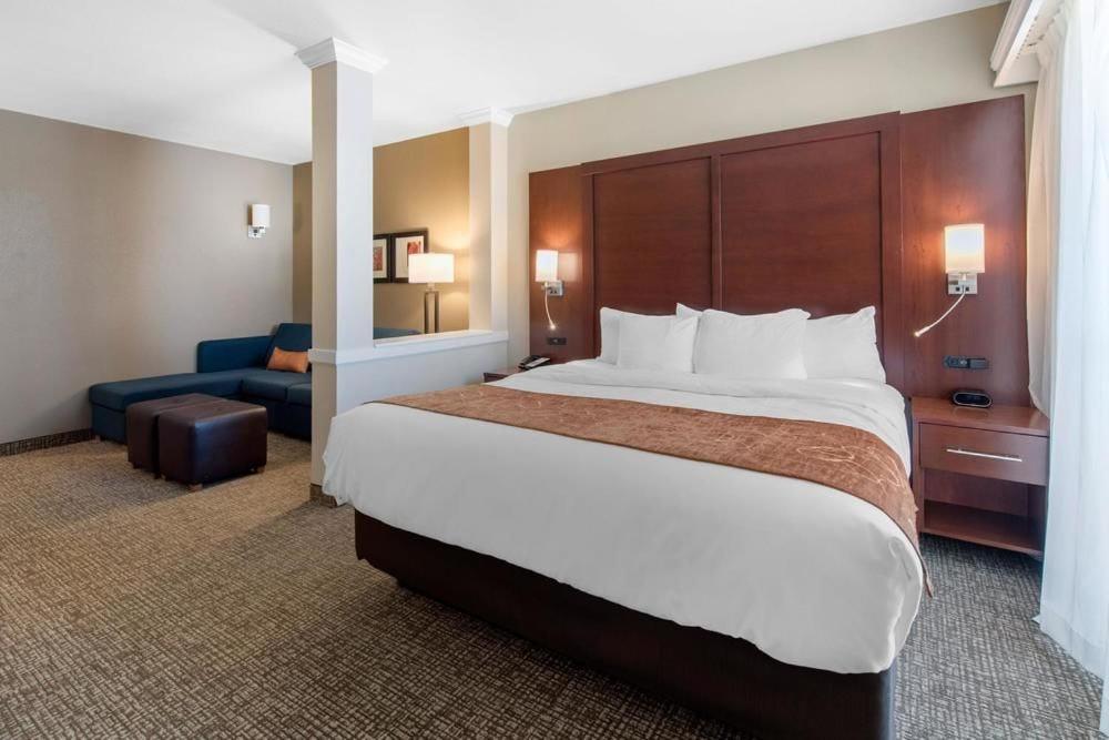 丹佛丹佛国际机场康福特套房酒店的酒店客房设有一张大床和一张沙发。