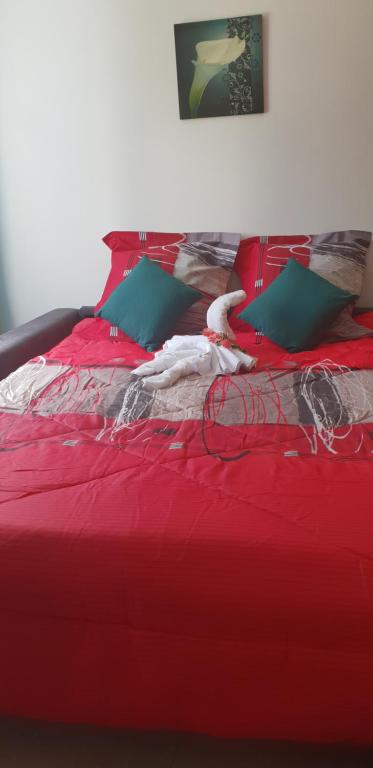 圣克罗蒂德T1 tout confort 2的红色的床,配有红色床单和绿色枕头
