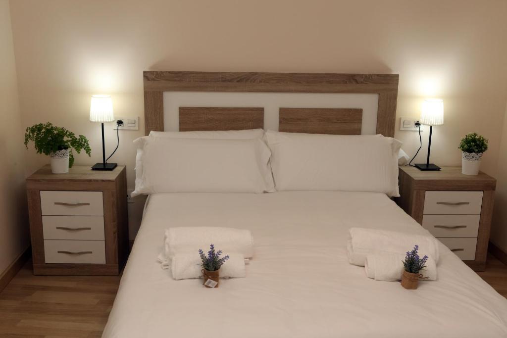 萨拉曼卡Apartamento Puente Romano Portal 4 1-B的一间卧室配有一张带2个床头柜的大型白色床
