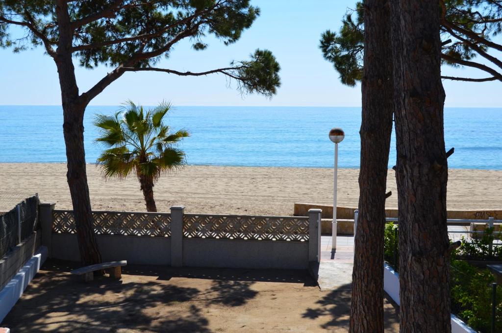 坎布里尔斯La Torre - Villa Rosamar Beach的享有海滩美景,设有长凳和树木