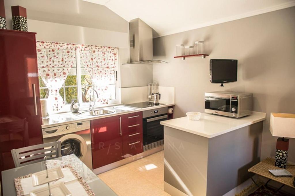 里瓦德奥Apartamento Amieiro的一间带水槽和微波炉的小厨房