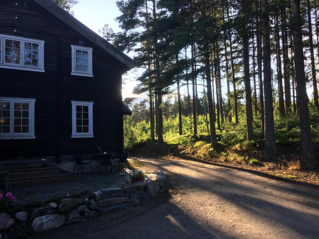 伯Breiva Gjestegaard og Glamping的阳光照耀着树的房屋