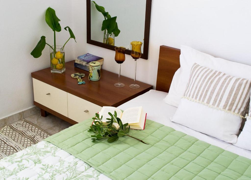雅典INSPIRATION Guestroom with Amazing Roof Garden的一间卧室配有一张带桌子和书的卧室