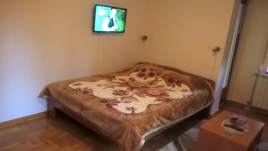 弗尔尼亚奇卡矿泉镇Nidza Vranjanac的墙上有电视的房间的一张床位
