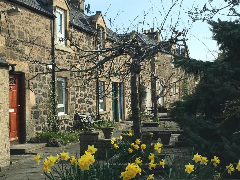 爱丁堡Drum Brae Cottage的一群在他们面前有黄色花的房屋