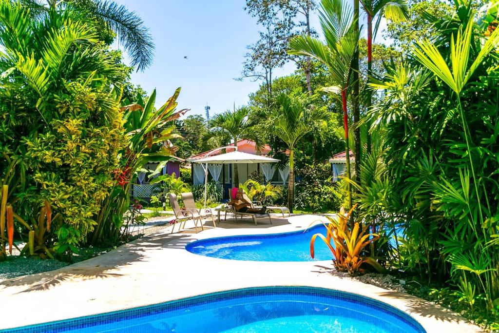 卡维塔恩坎托住宿加早餐旅馆的棕榈树庭院和房子中的游泳池