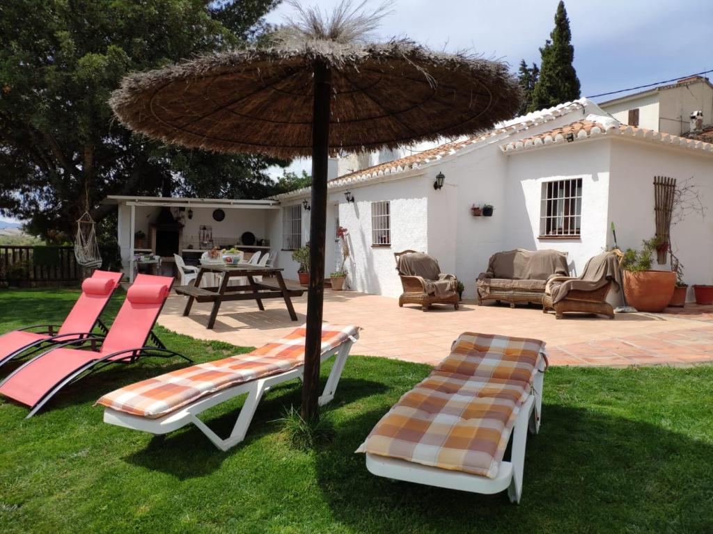 阿尔考辛Casa Molina的庭院设有2把躺椅和遮阳伞