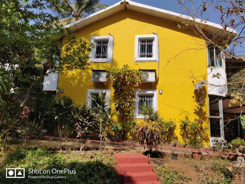 罗纳瓦拉Leela's Cottage的黄色的房子,有白色的窗户和植物